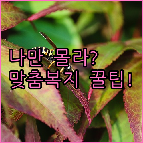 복지멤버십 맞춤 알림 서비스 신청 및..