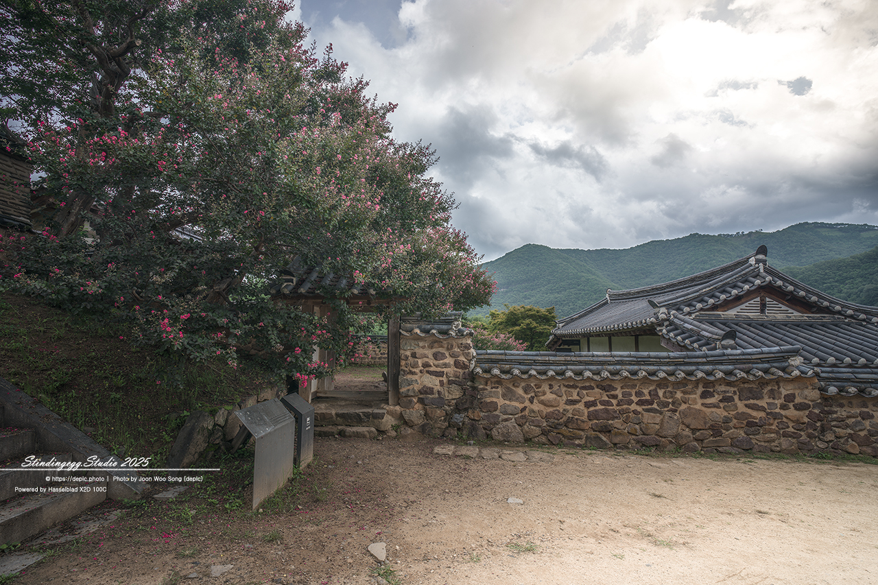 #안동 #서원 #유학 #병산서원 #배롱꽃