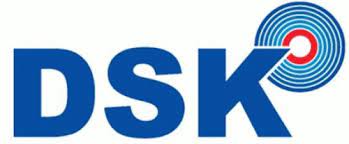 디에스케이_로고