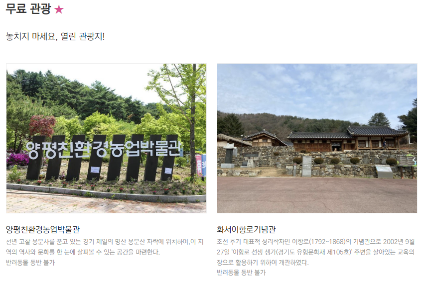 무료관광