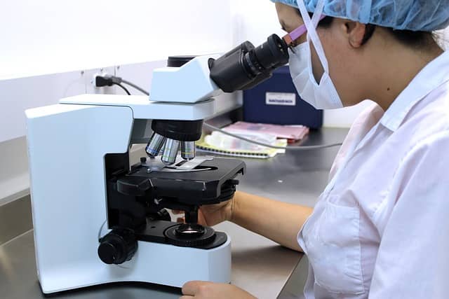 현미경 기술 발전 세포 이미징