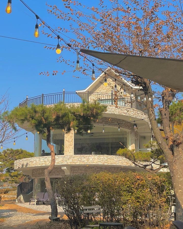 팔숲