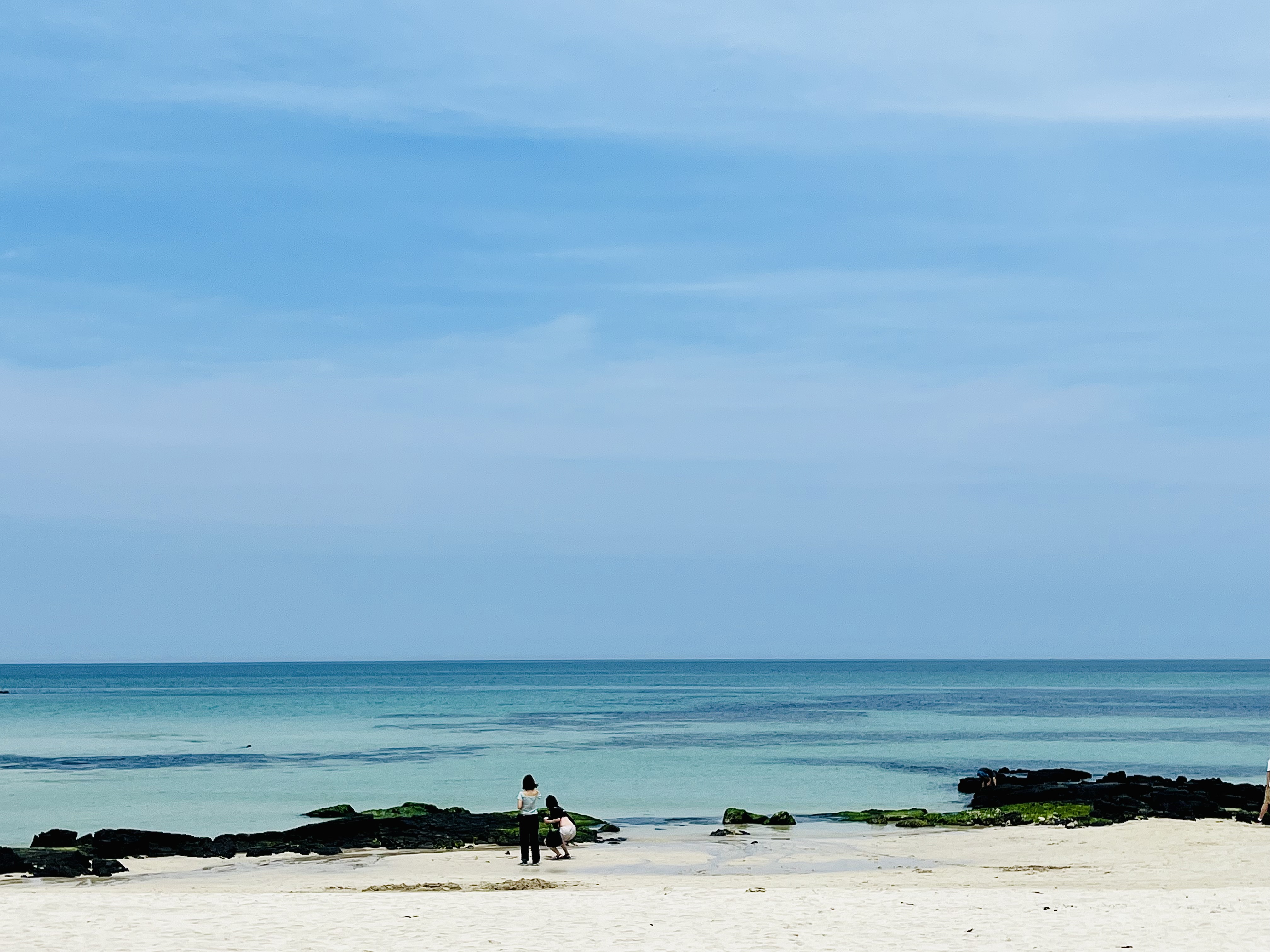 2025년 6~8월 전국 해수욕장