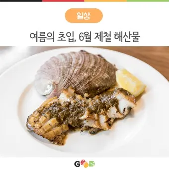 여름철 제철 해산물 추천 리스트 및 요리 활용법 안내_44