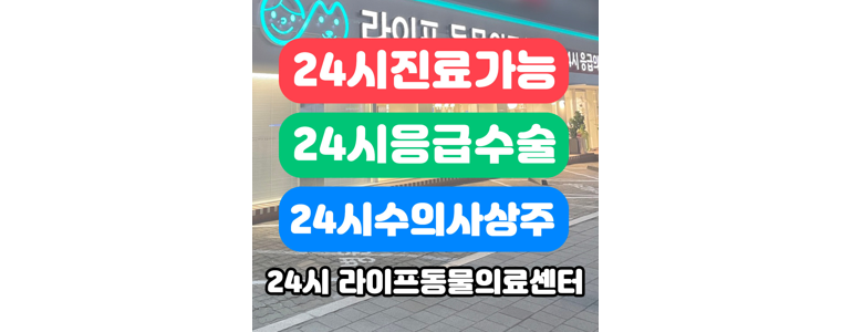 대구 서구 동물병원