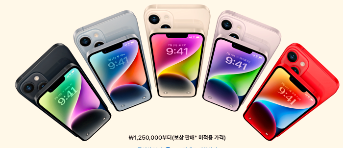 기본_라인
