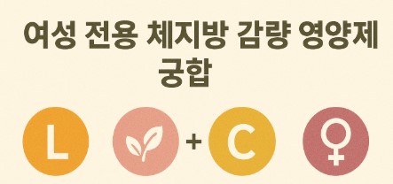 여성 체지방 감량 영양제 궁합 사진