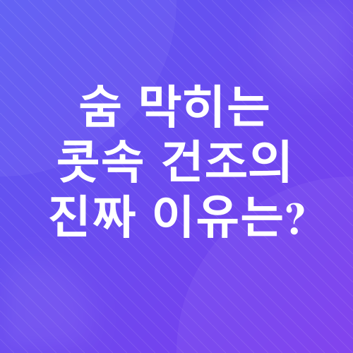콧속건조_1