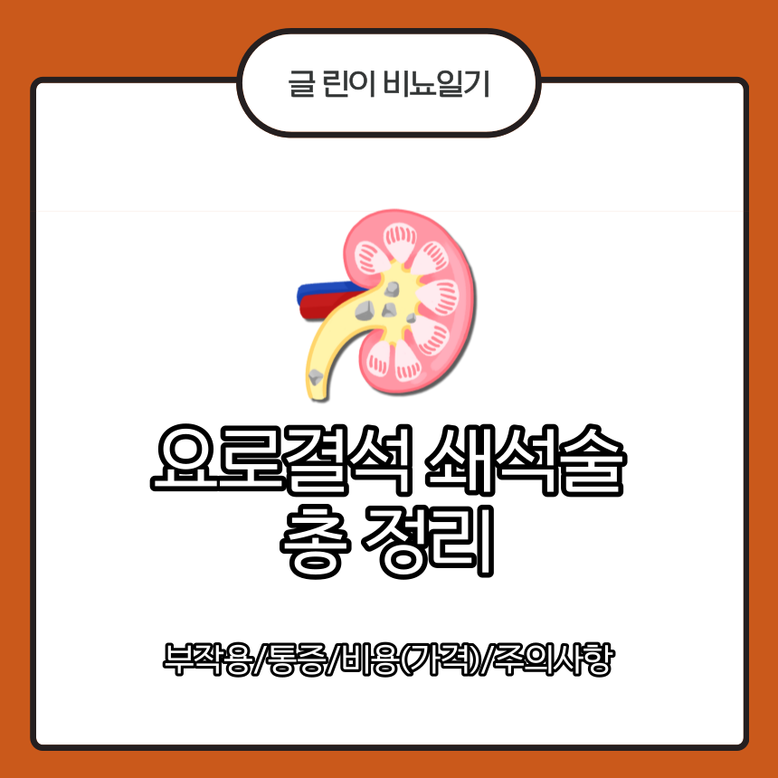 요로결석 쇄석술