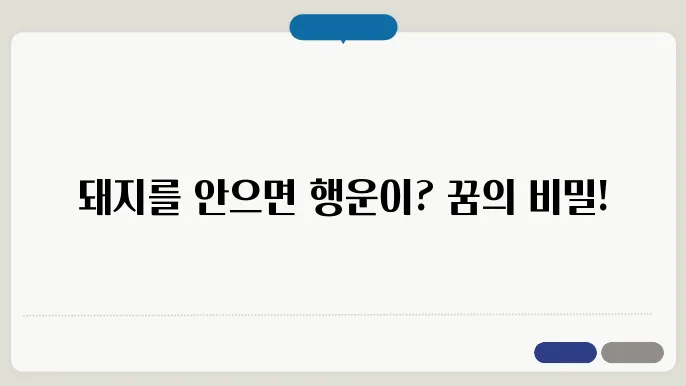 돼지를 안는 꿈