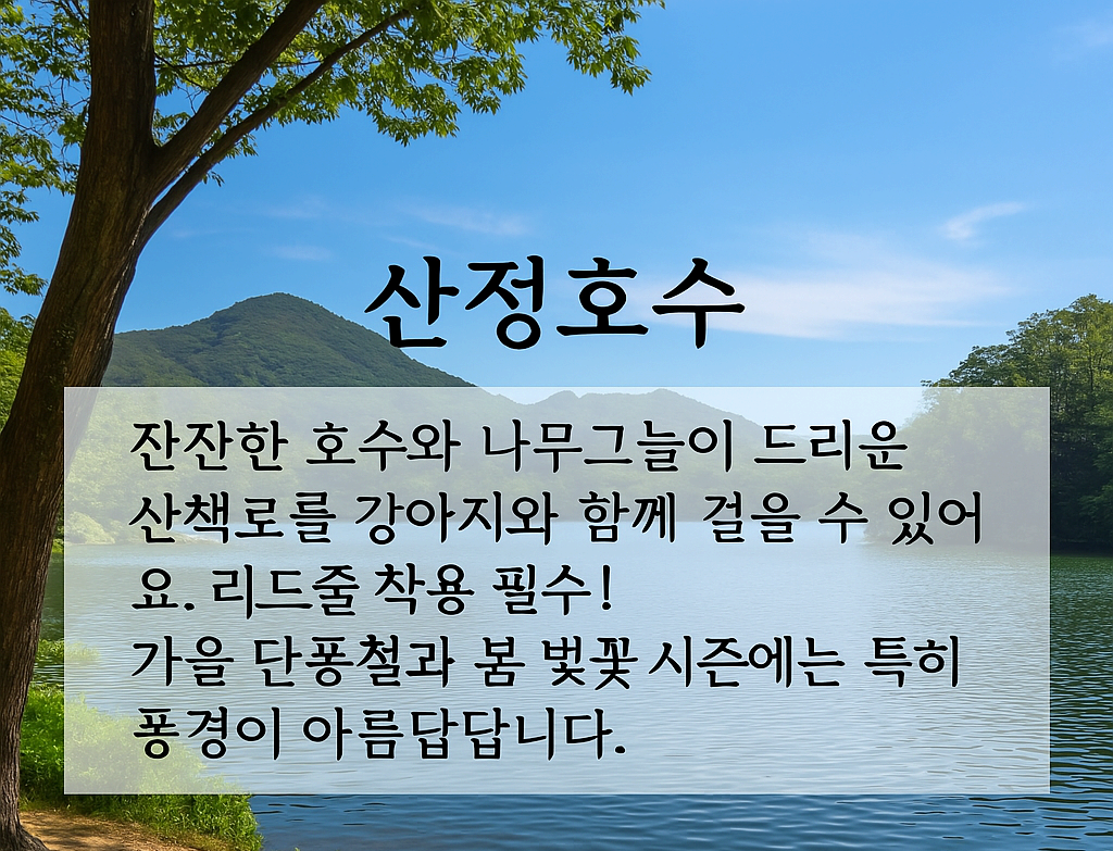 [반려동물 여행]강아지랑 산정호수로 힐링 여행❘ 포천 애견동반 산책 코스 &amp; 숙소&middot;맛집 총정리