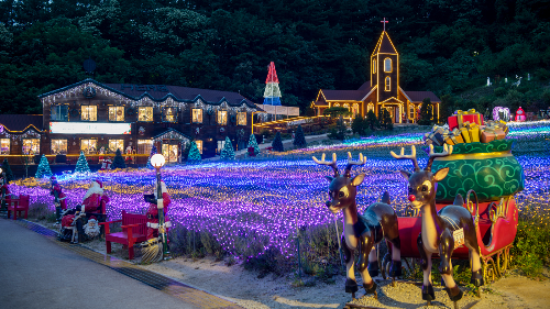 포천허브아일랜드핑크뮬리축제