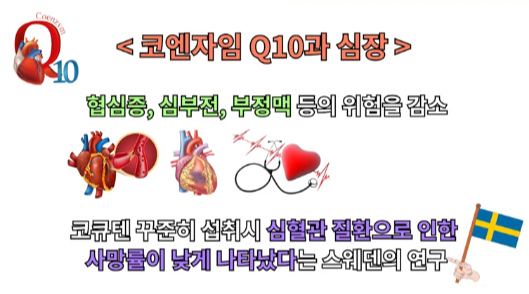 코엔자임큐텐