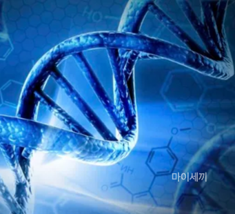 마에스트라 유전병 헌팅턴병 차세음 엄마병 증상 원인 치료방법