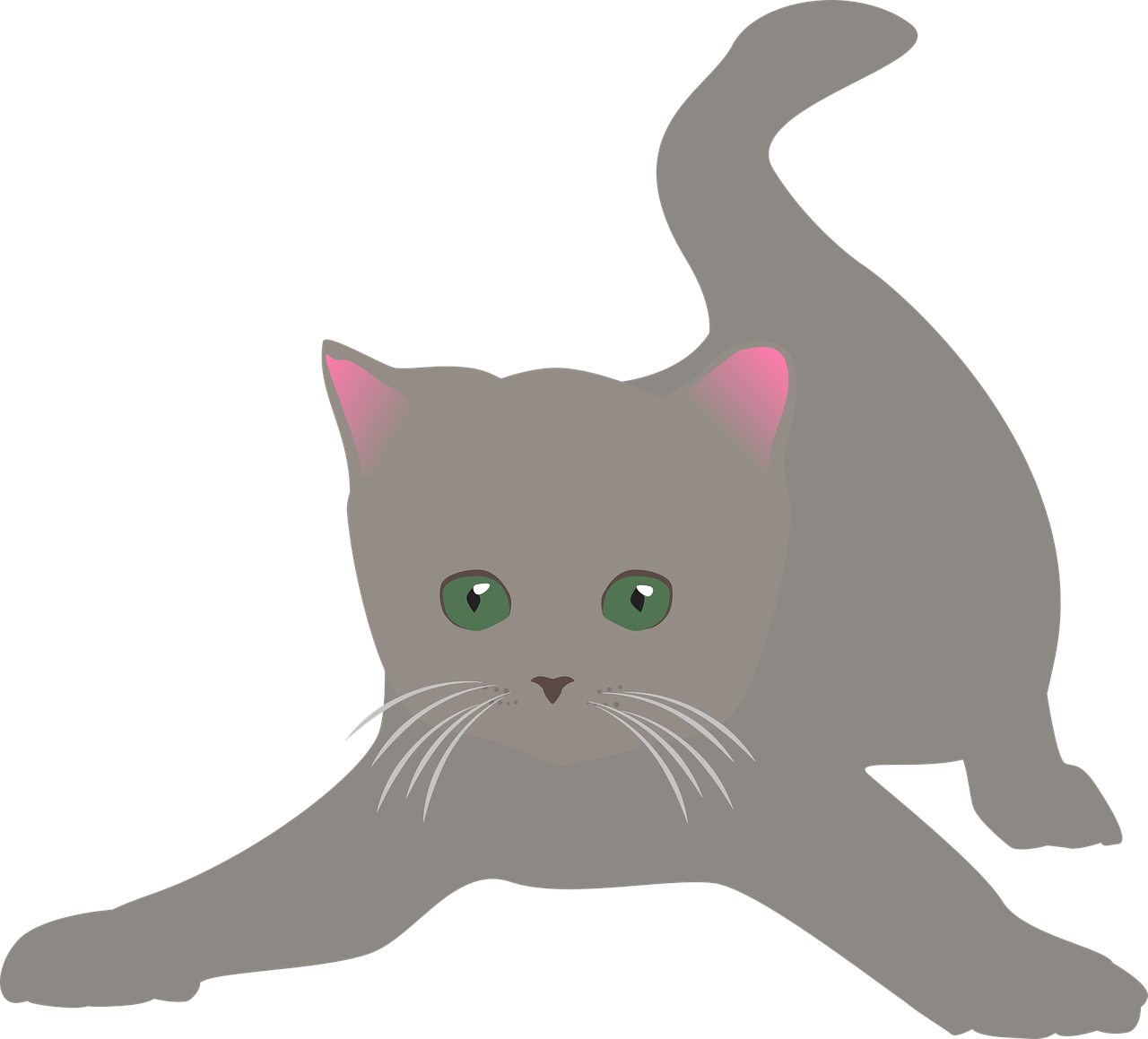 한국 야생 동물 삵의 먹이 선택 오류 분석 — 실패 사냥의 원인과 학습 효과