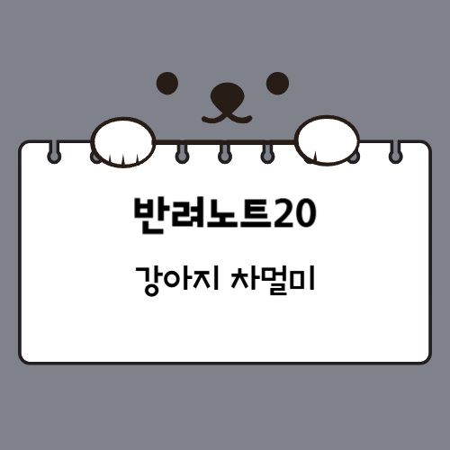 강아지 차멀미 증상과 예방 방법