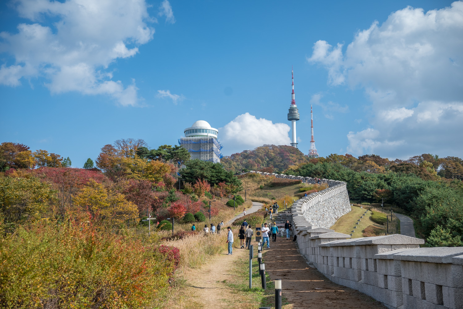 남산공원 은행단풍