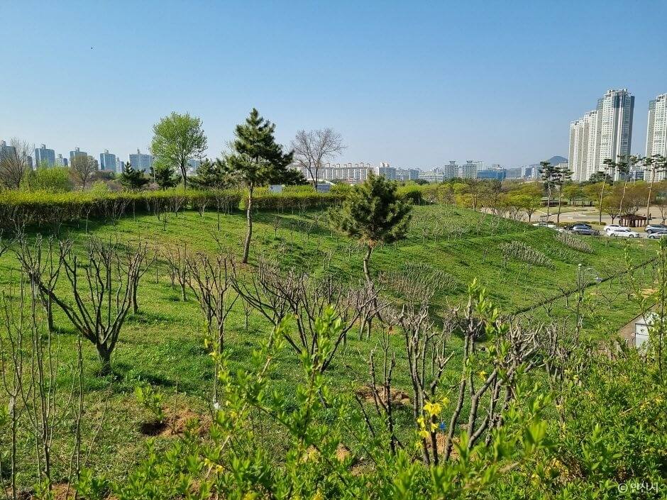 안산 가볼만한곳 베스트 10