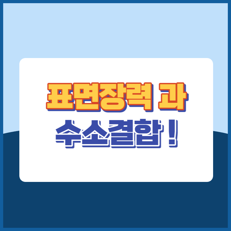 표면장력과수소결합 썸네일이미지