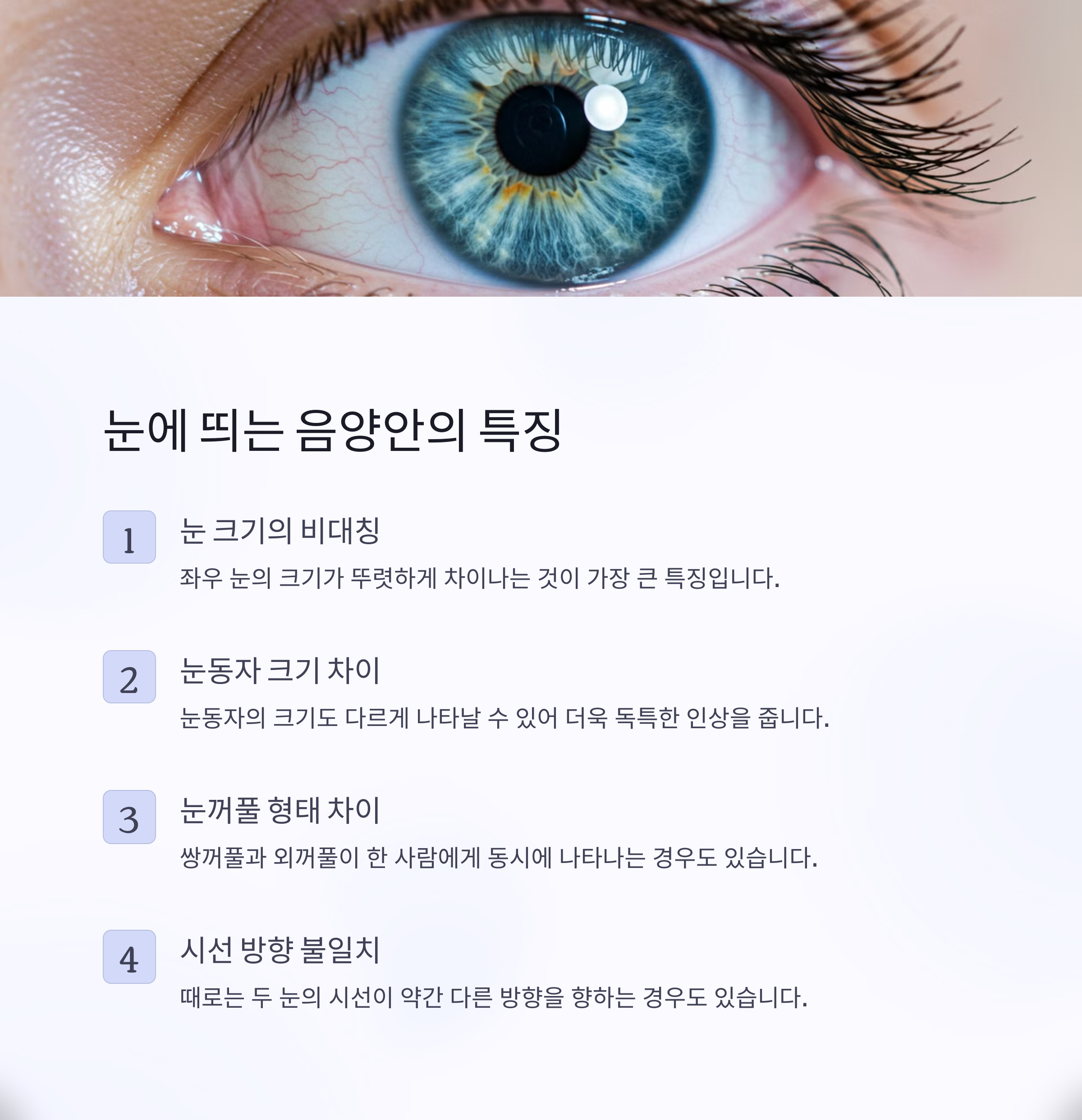 음양안의 특징과 종류