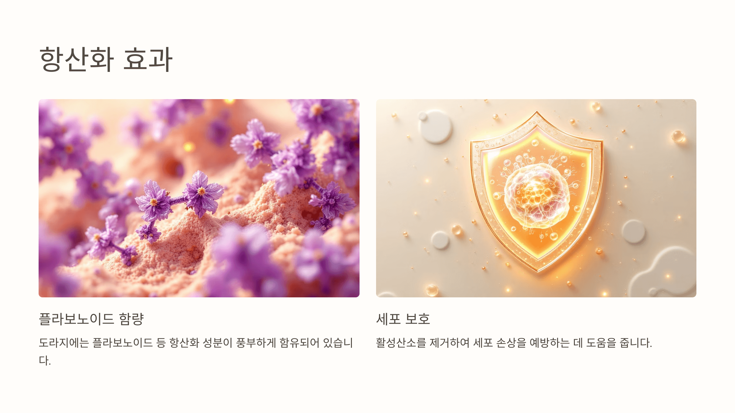 도라지청 사진입니다.