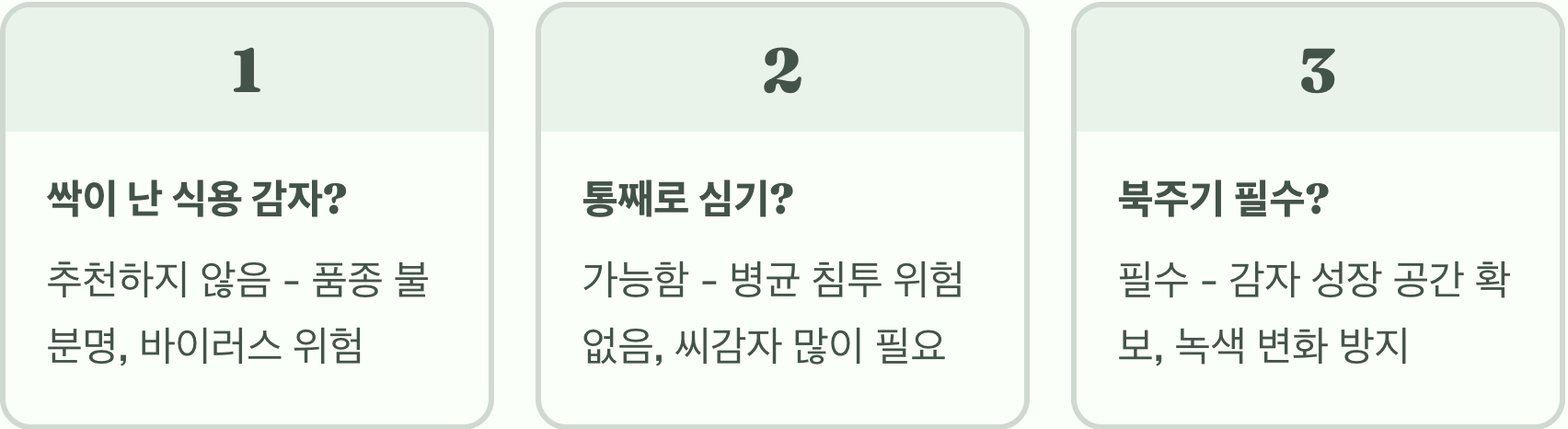 가을 씨감자 심기 A to Z, 지금 심으면 겨울에 먹어요!