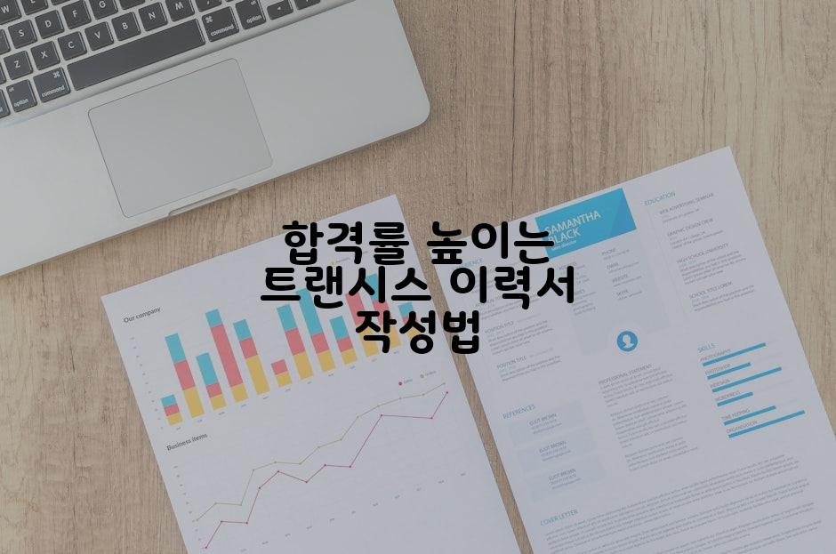 합격률 높이는 트랜시스 이력서 작성법
