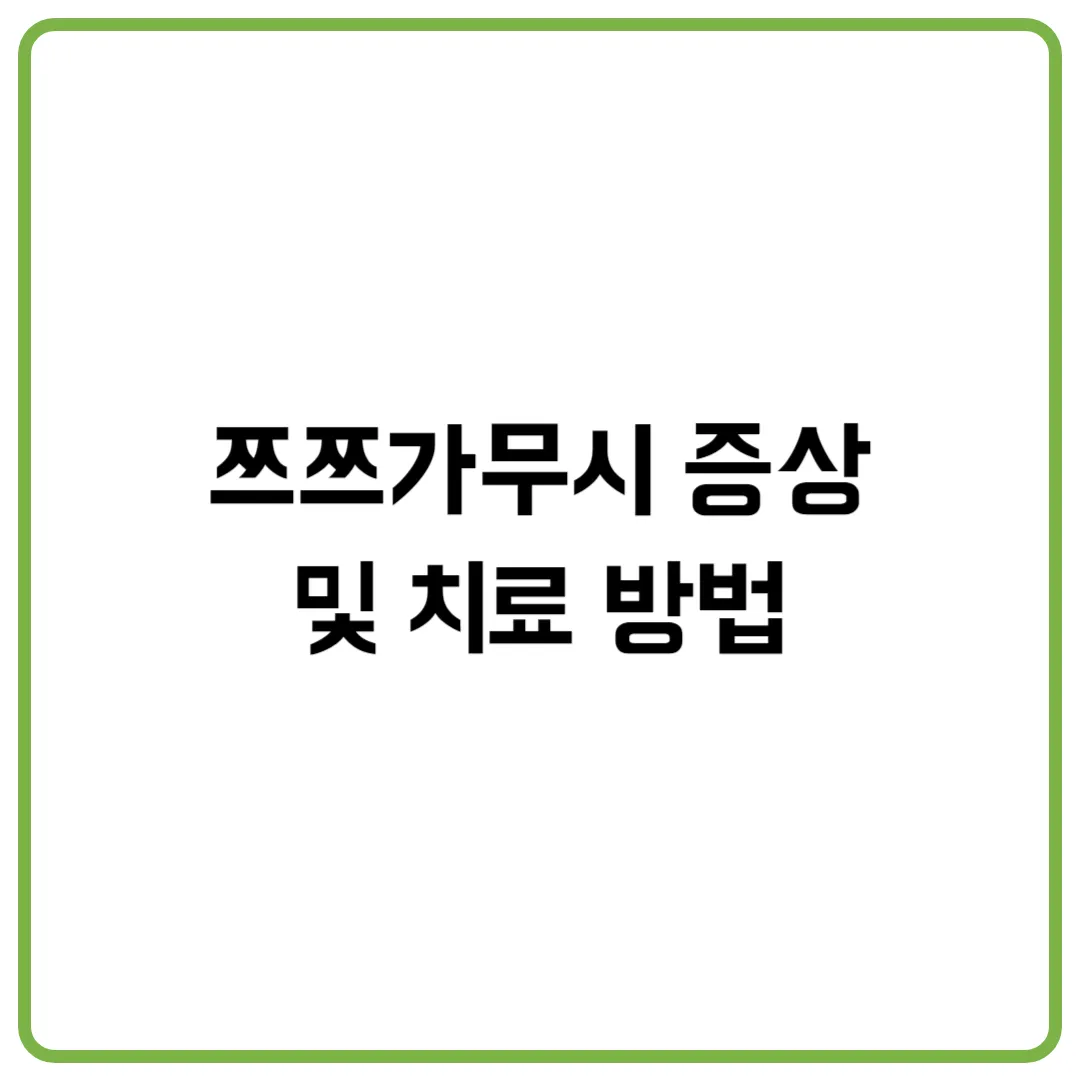 쯔쯔가무시 증상 및 치료 방법