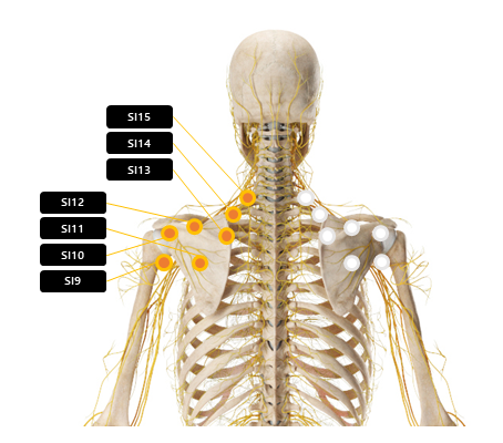 어깨 주변 혈자리 요약