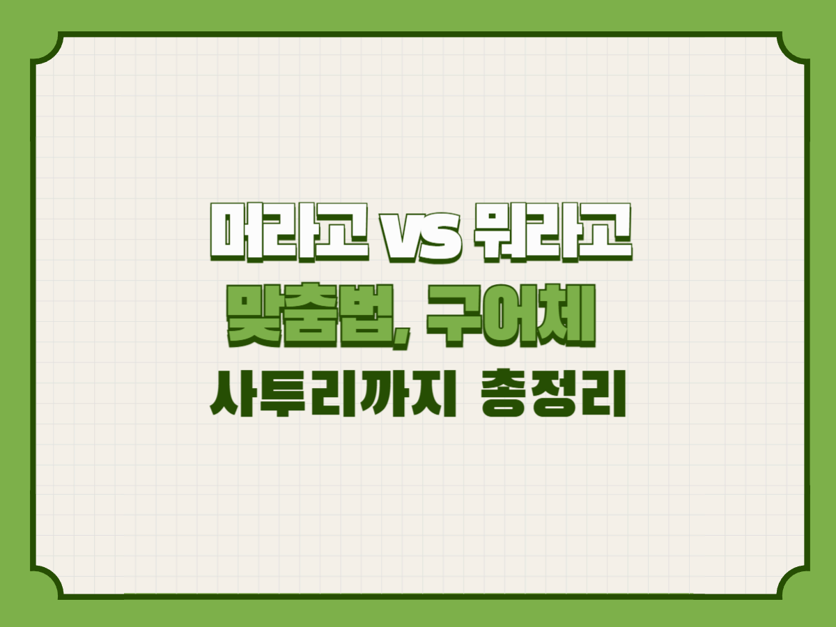 머라고 vs 뭐라고 — 맞춤법, 구어체, 사투리까지 총정리
