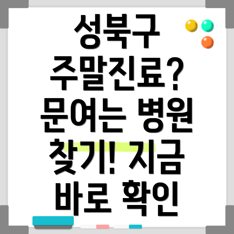 성북구 주말진료