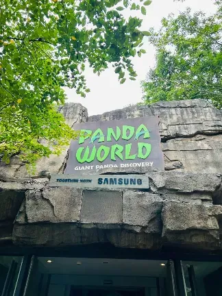 에버랜드 푸바오 예약 시간 관람 꿀팁