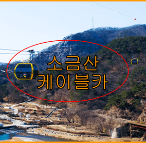 원주 출렁다리 주차장 가는길