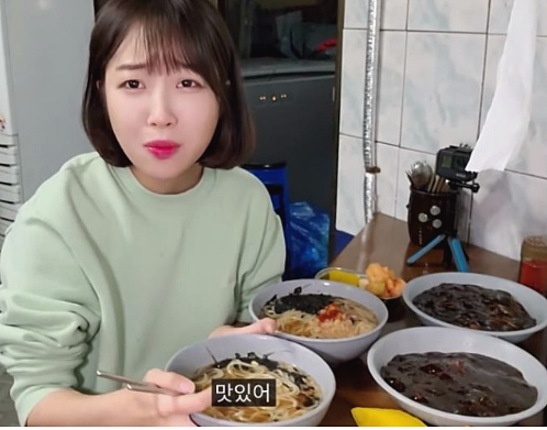 쯔양수입