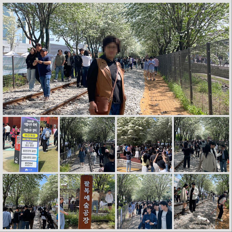 전주 팔복동 이팝나무 철길 산책로