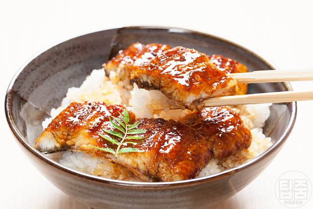 복날 보양식 추천 장어