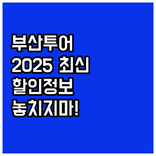 부산 시티투어버스 2025: 감면 대..