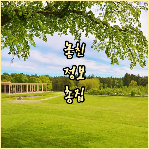 ESTA 2년 유효 기간 활용 여행 ..