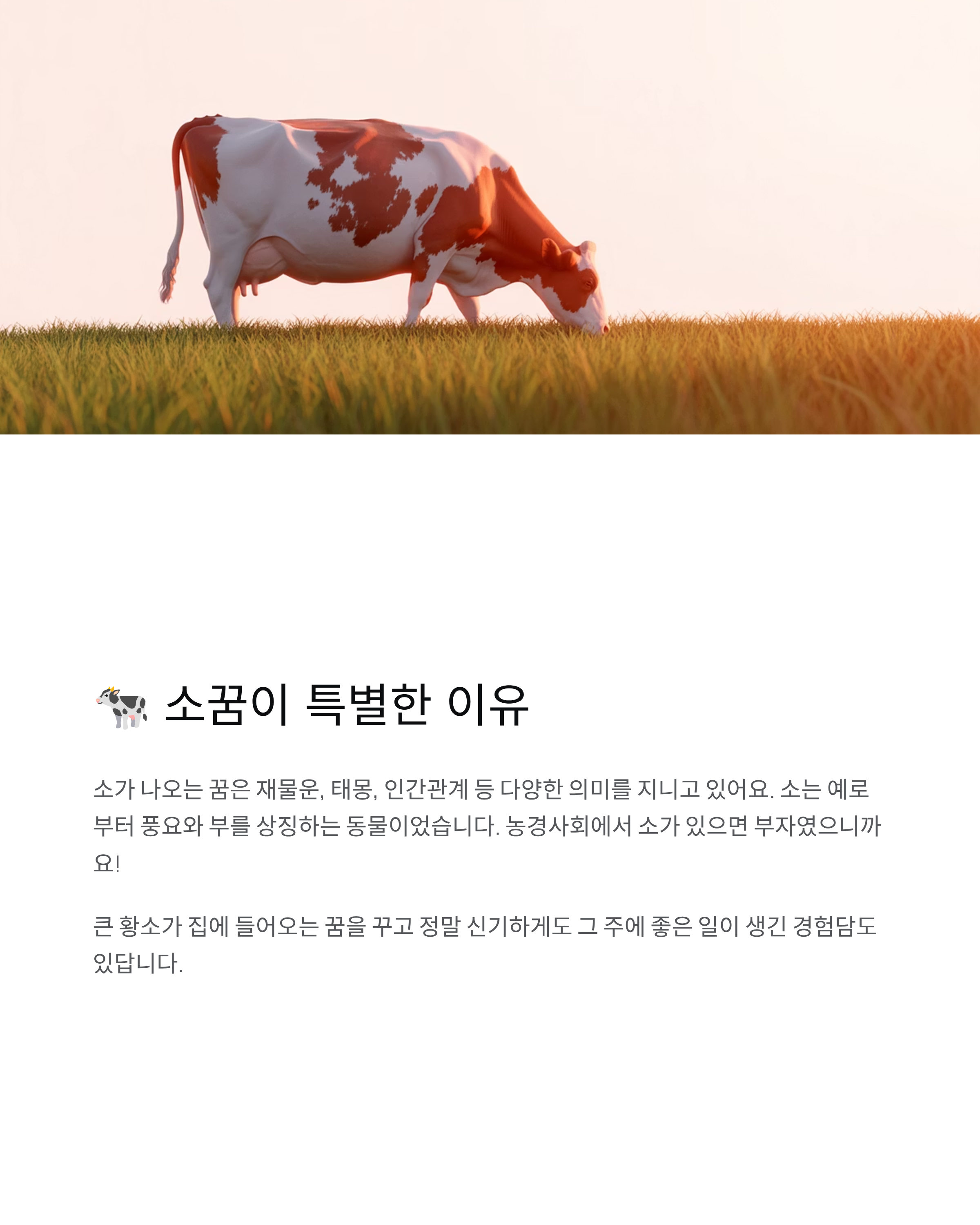소꿈 해몽 완벽 정리 - 로또 당첨? 재물운? 태몽까지!