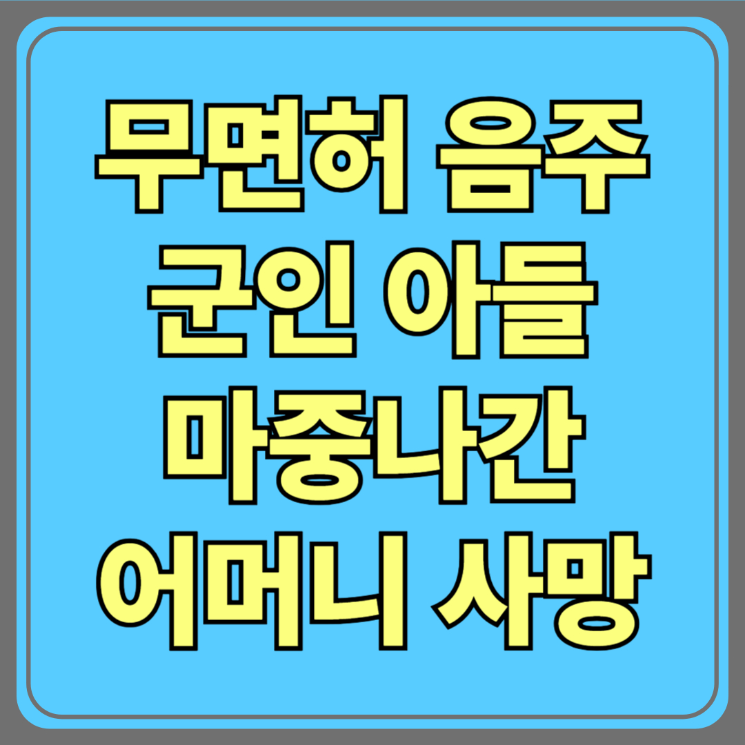무면허 음주운전 참변|군인 아들 마중 나간 어머니 사망…이제는 멈춰야 할 때
