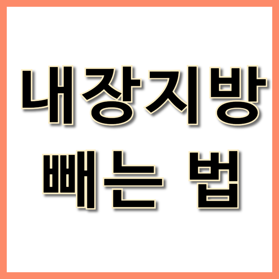 내장지방 빼는 법