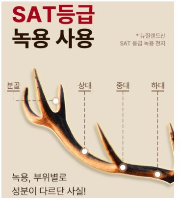 다한방다이어트-효과