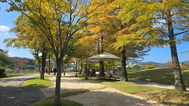 2025 순천만 국가정원 순천여행 맛집 현지인 추천 맛집 순천만 숙박