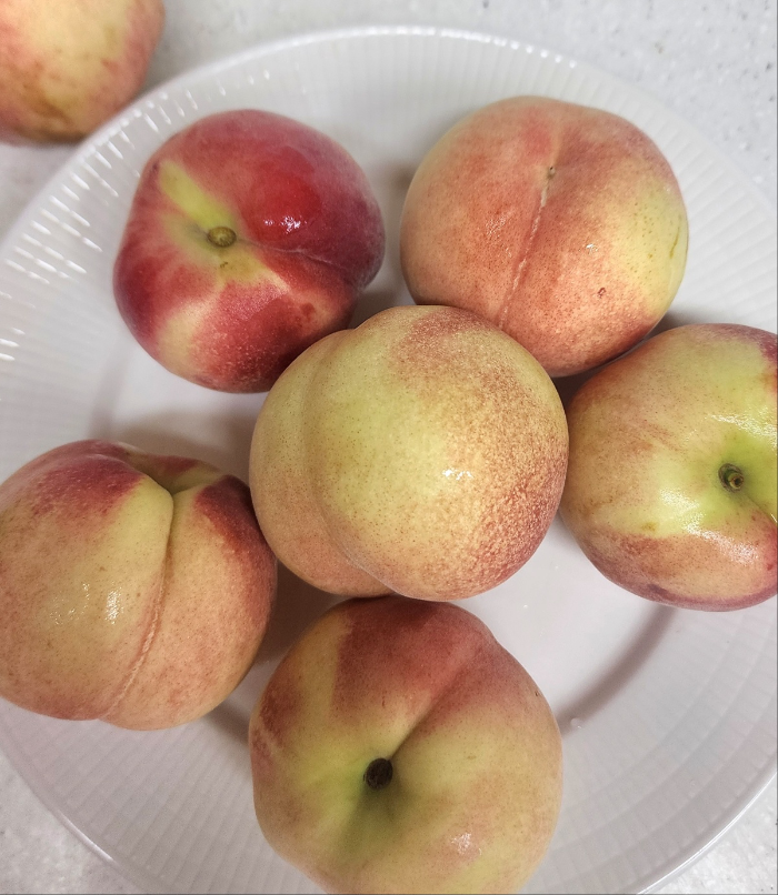 6월 말~7월 중순 과일, 대극천복숭아