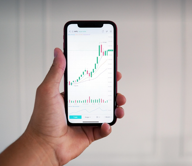 주식투자의 모습