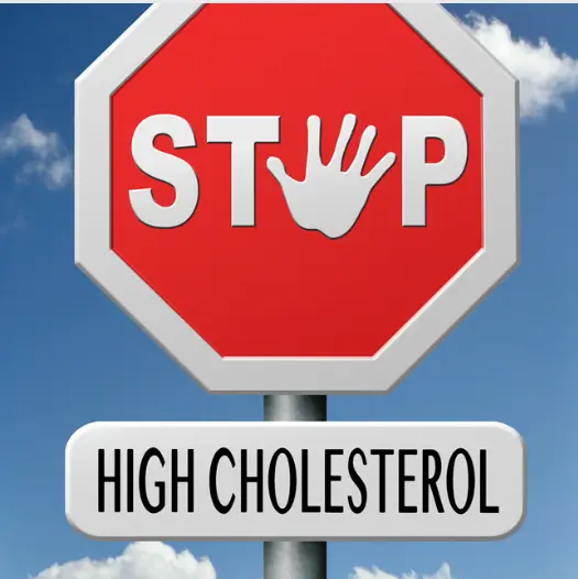 우엉차 효능과 영양성분, 먹는 방법 및 부작용