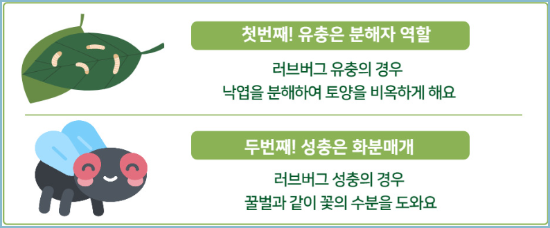 러브벌레-익충