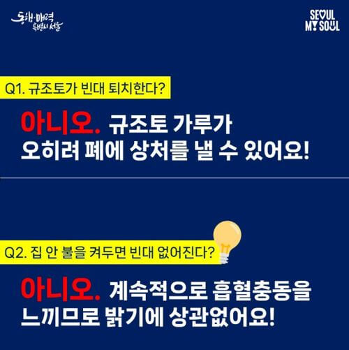 빈대 팩트 체크 전문가 8문 8답