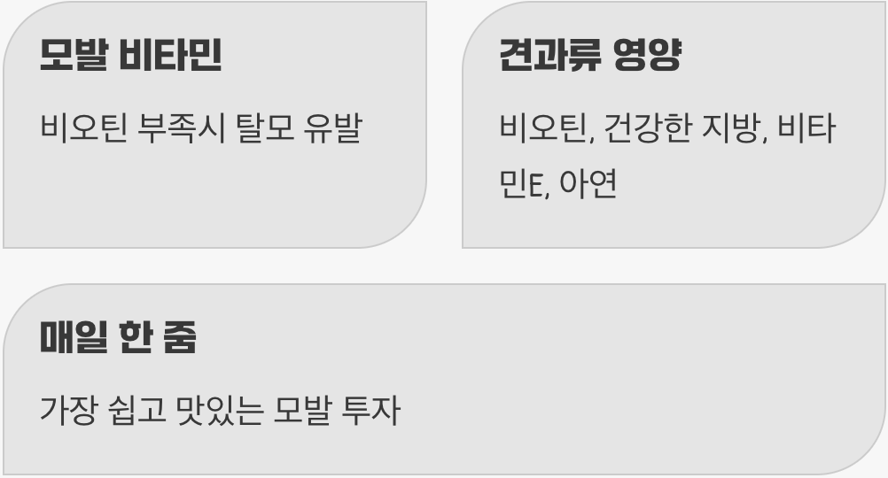 모발 성장의 필수 비타민, 비오틴 : 견과류