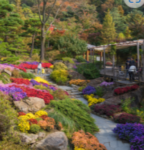 화담숲 예약